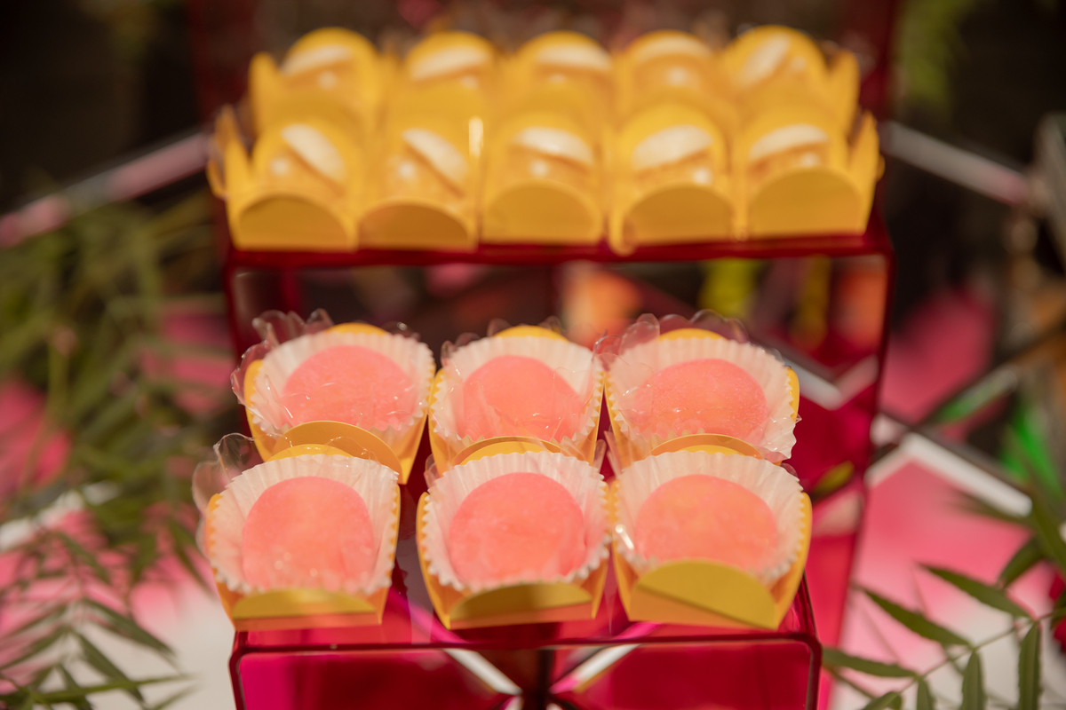 festa debutante pederneiras