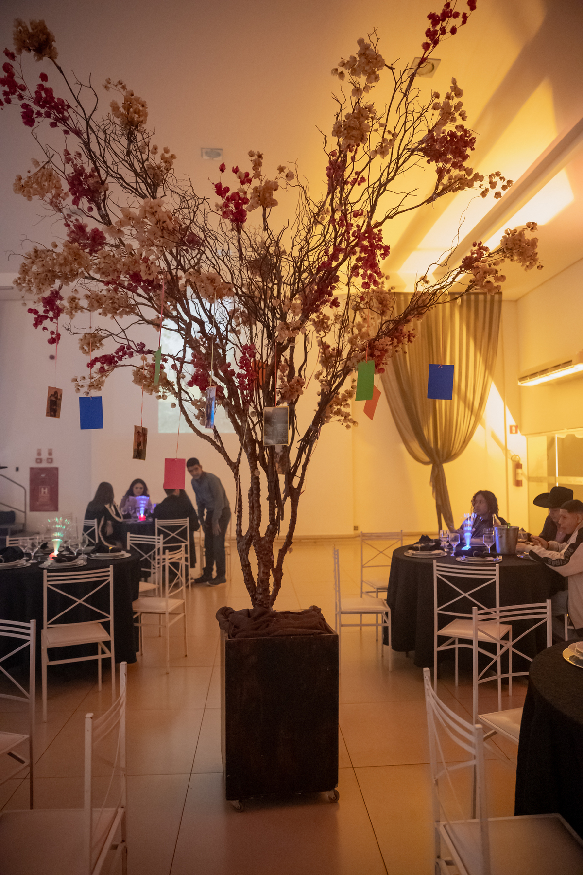 festa debutante pederneiras