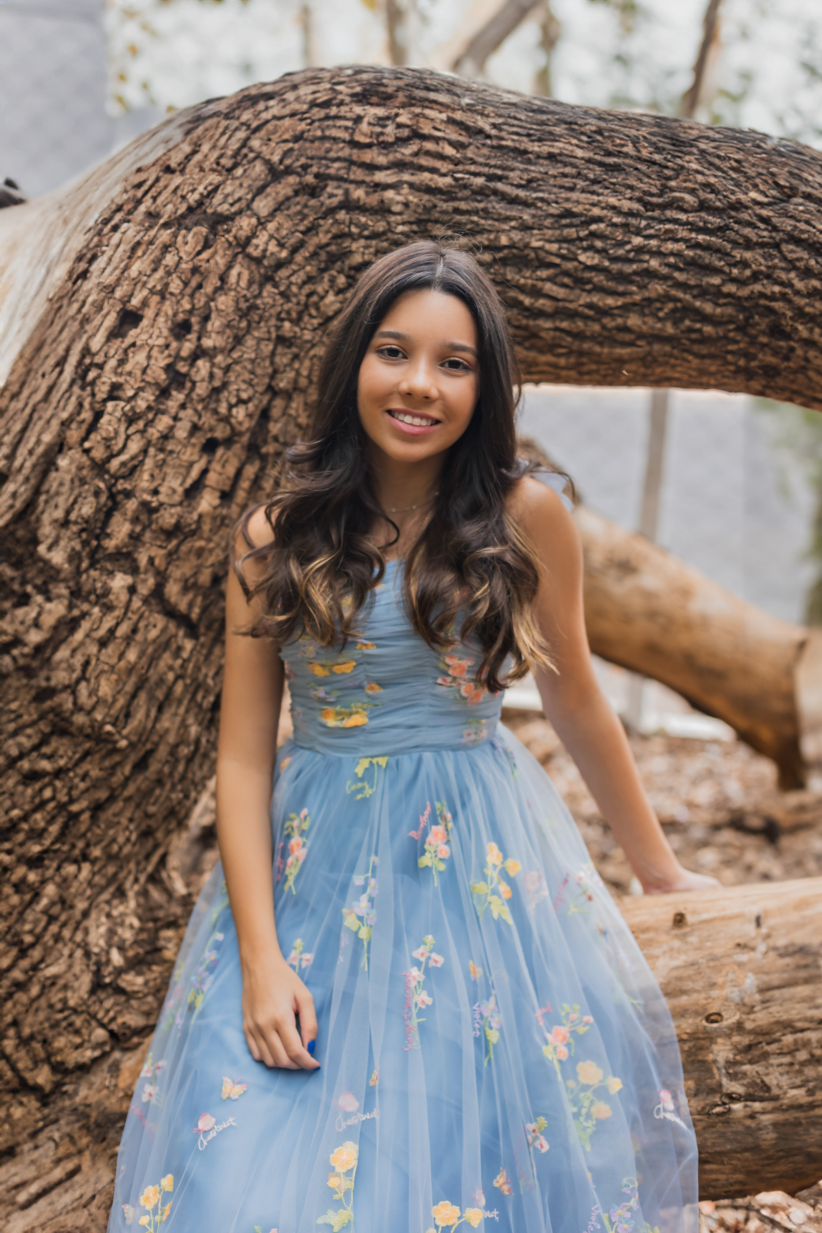 ensaio debutante bauru