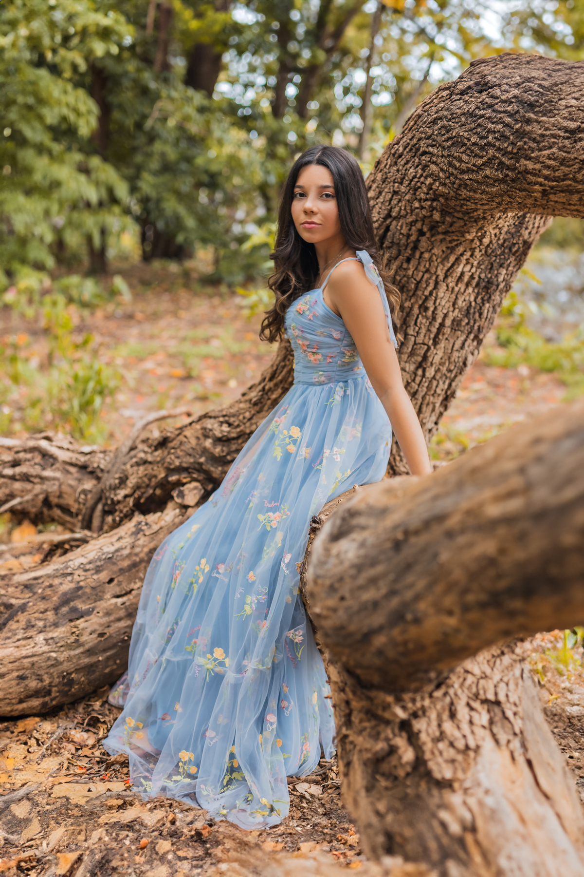 ensaio debutante bauru