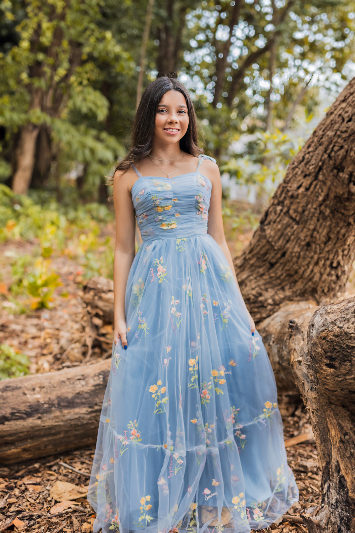 ensaio debutante bauru