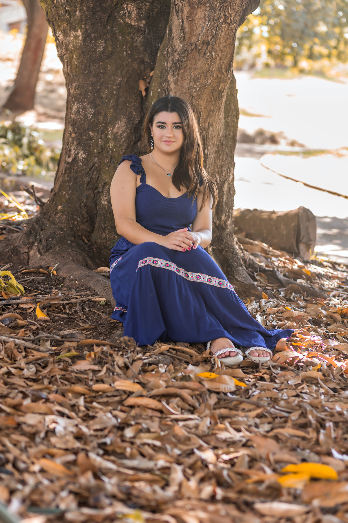 ensaio debutante bauru