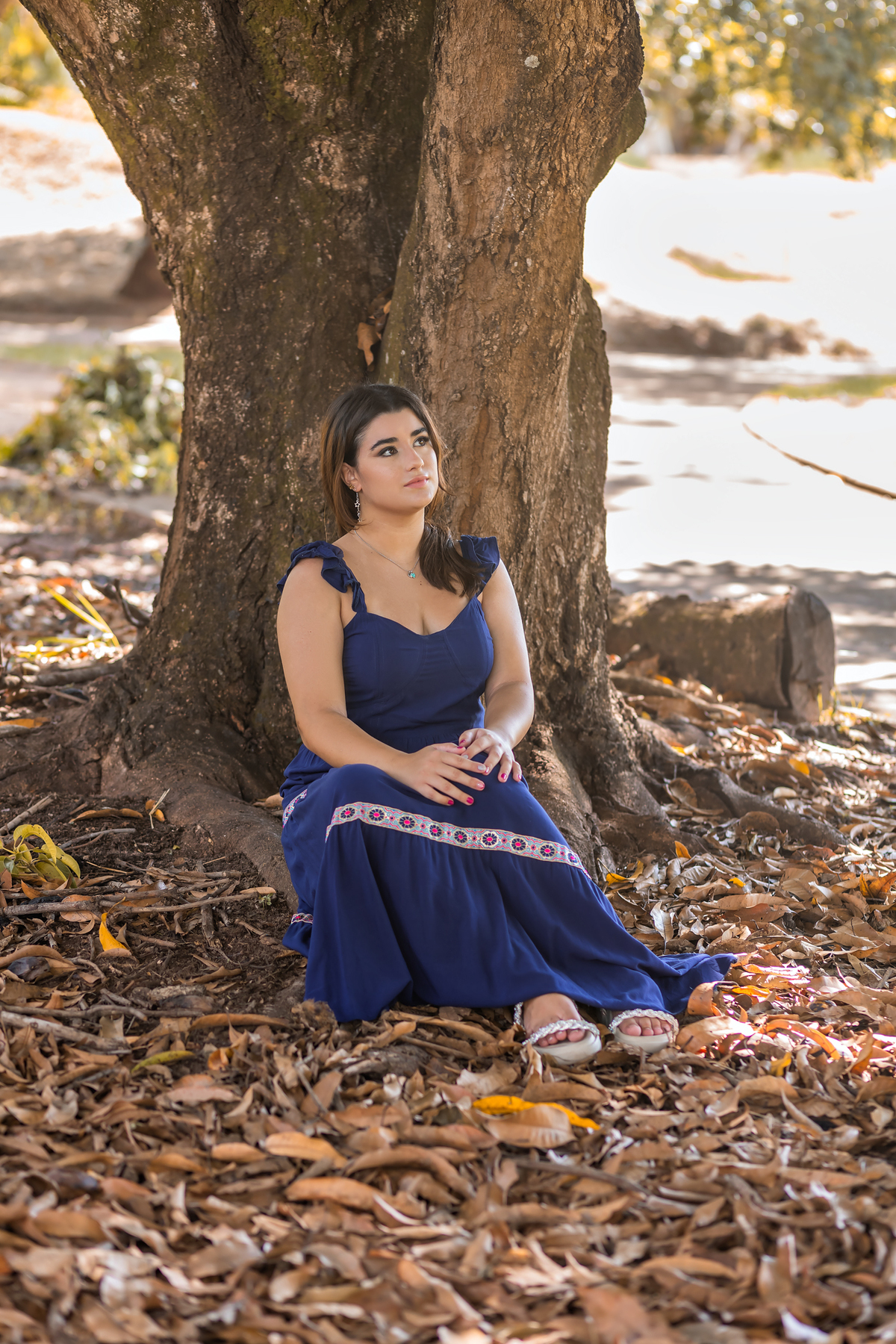 ensaio debutante bauru