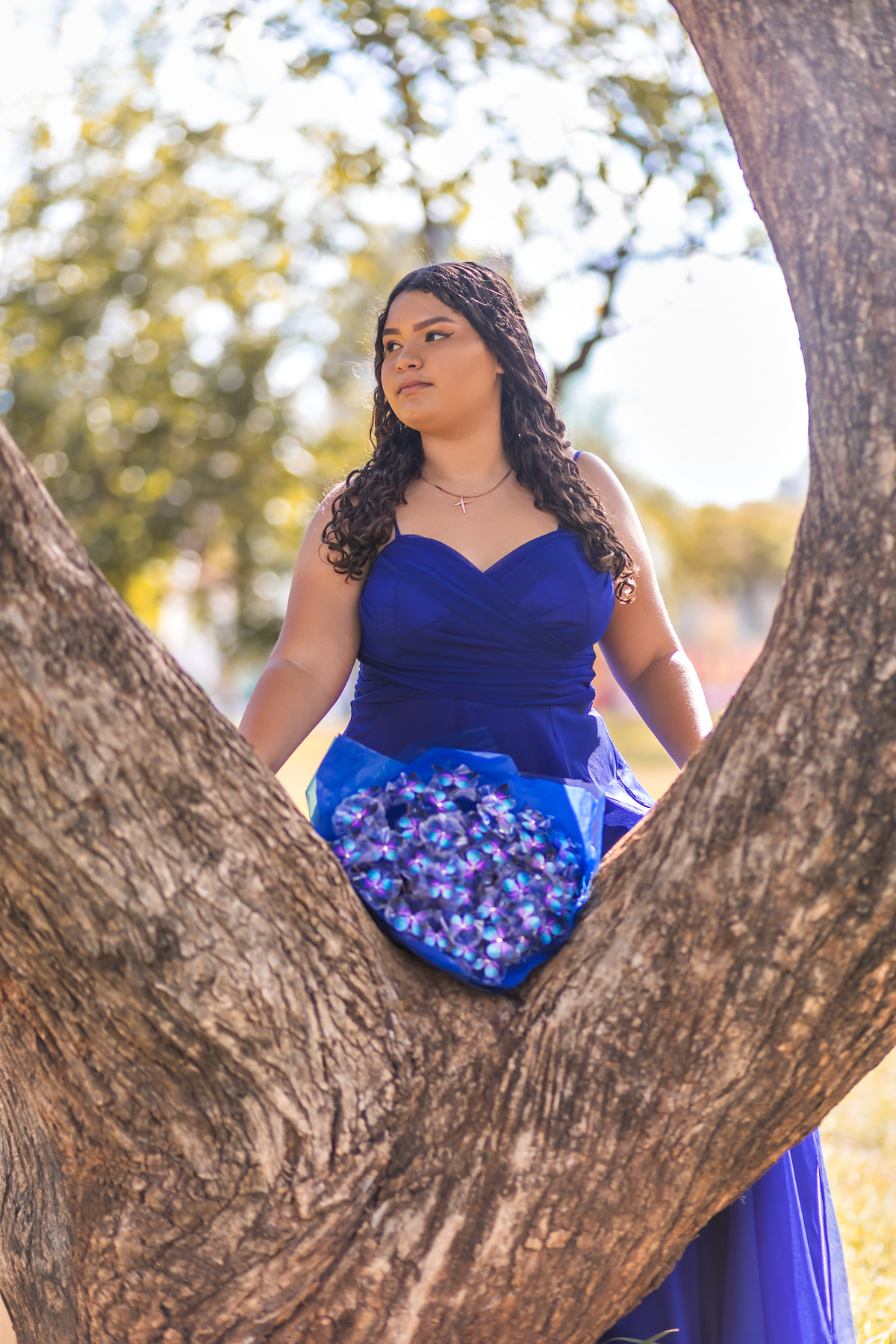 ensaio 15 anos bauru