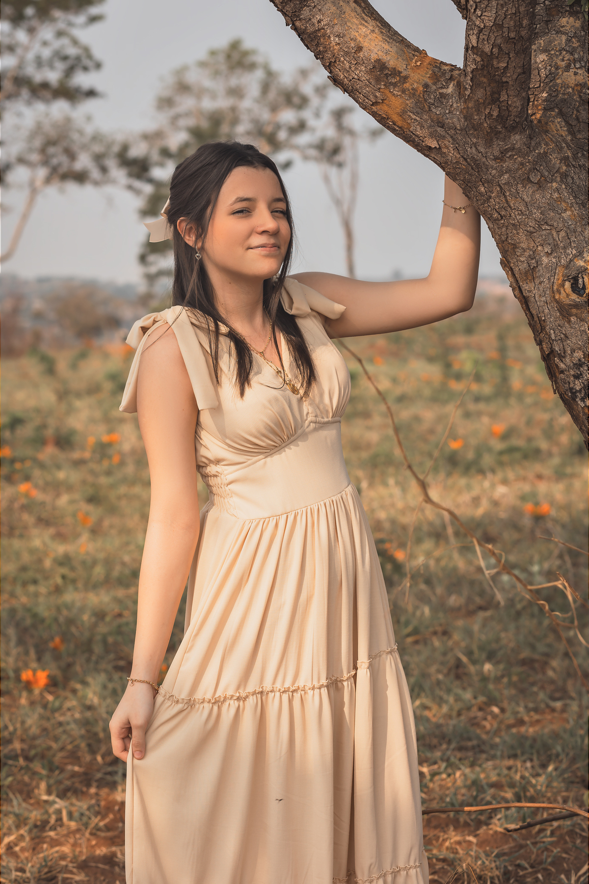 ensaio 15 anos bauru