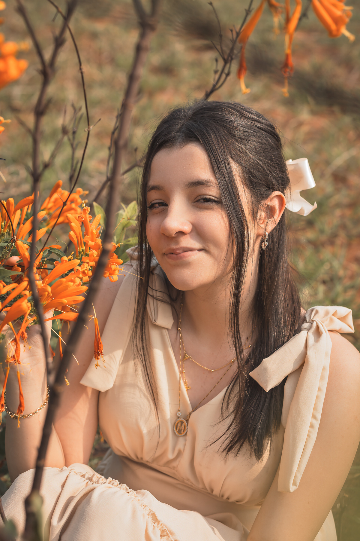 ensaio 15 anos bauru