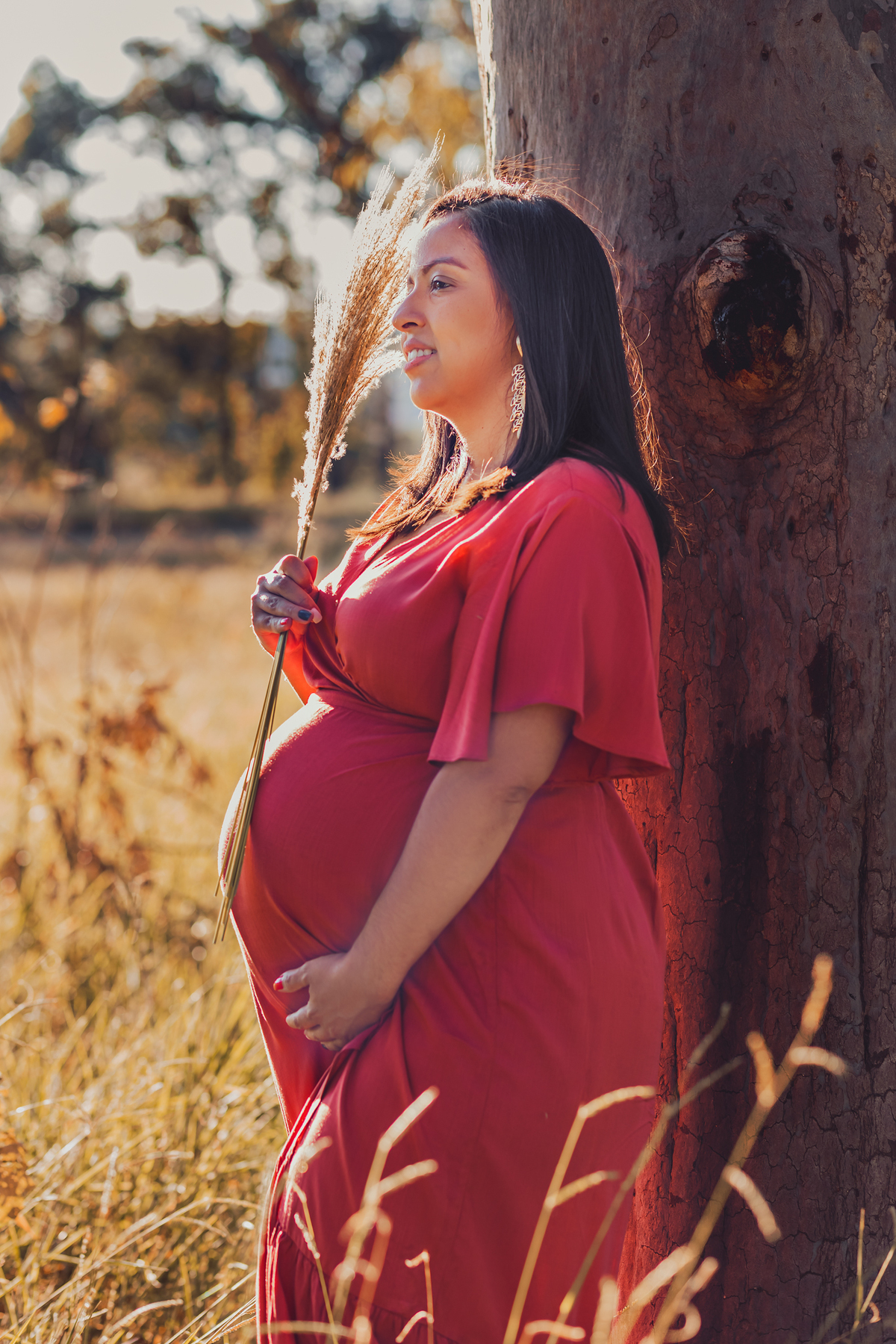 Ensaio gestante externo Bauru