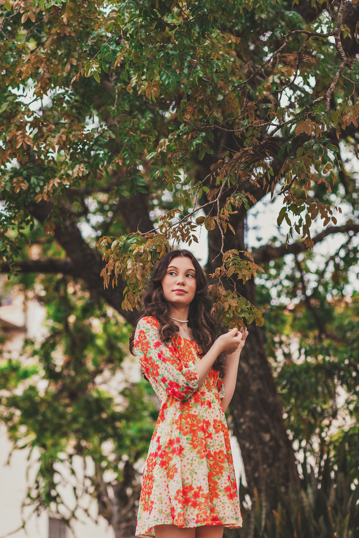 ensaio debutante - agudos / bauru