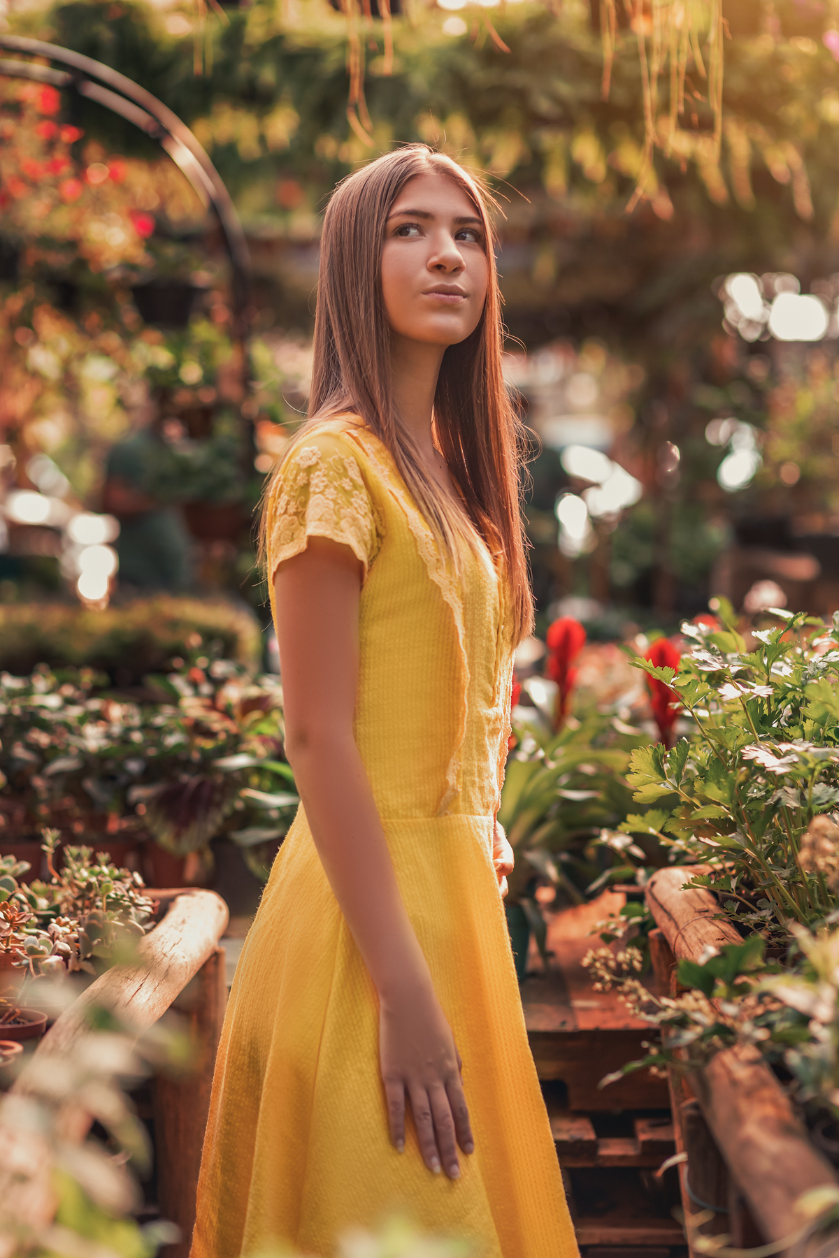 ensaio debutante Bauru - flores