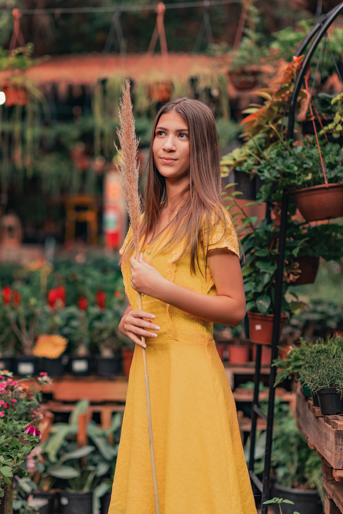 ensaio debutante Bauru - flores