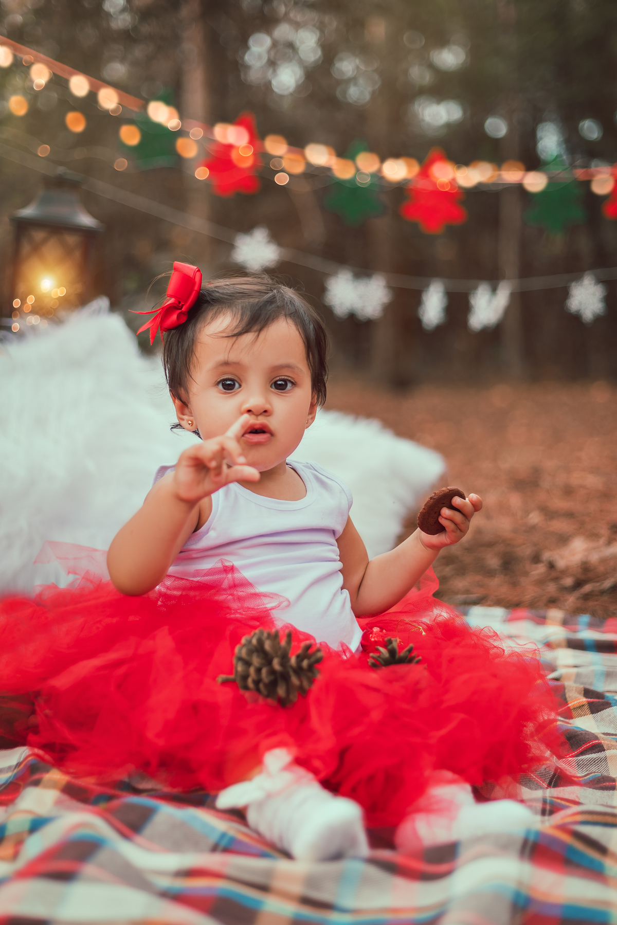 Mini-Ensaio externo de Natal em Bauru