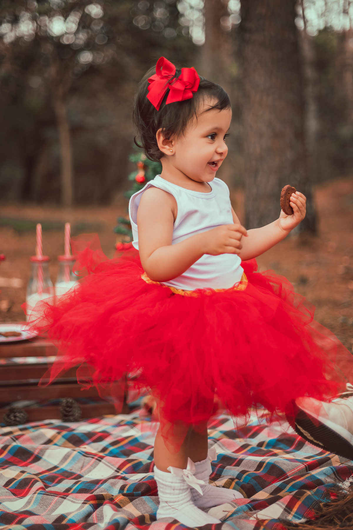 Mini-Ensaio externo de Natal em Bauru