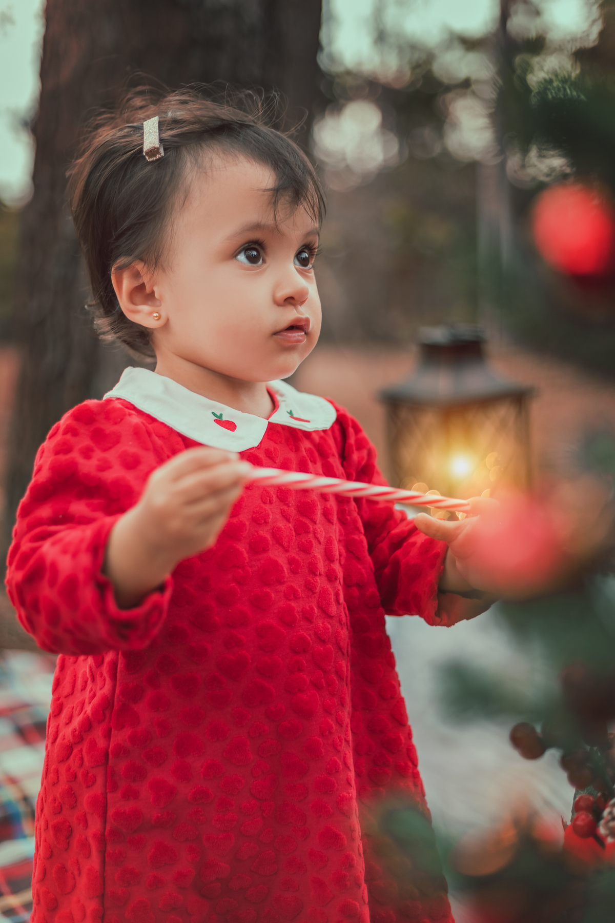 Mini-Ensaio externo de Natal em Bauru