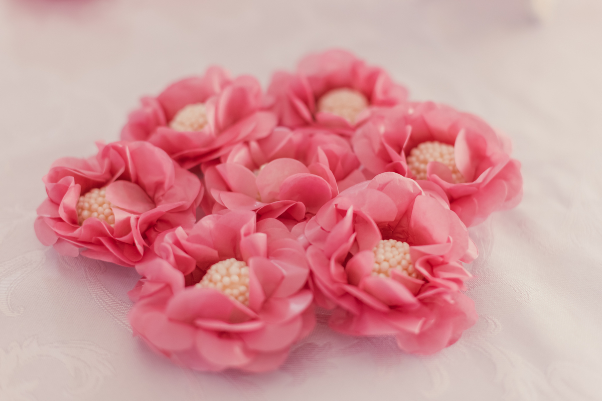 Casamento civil Bauru