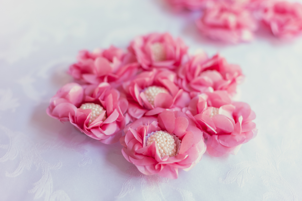 Casamento civil Bauru