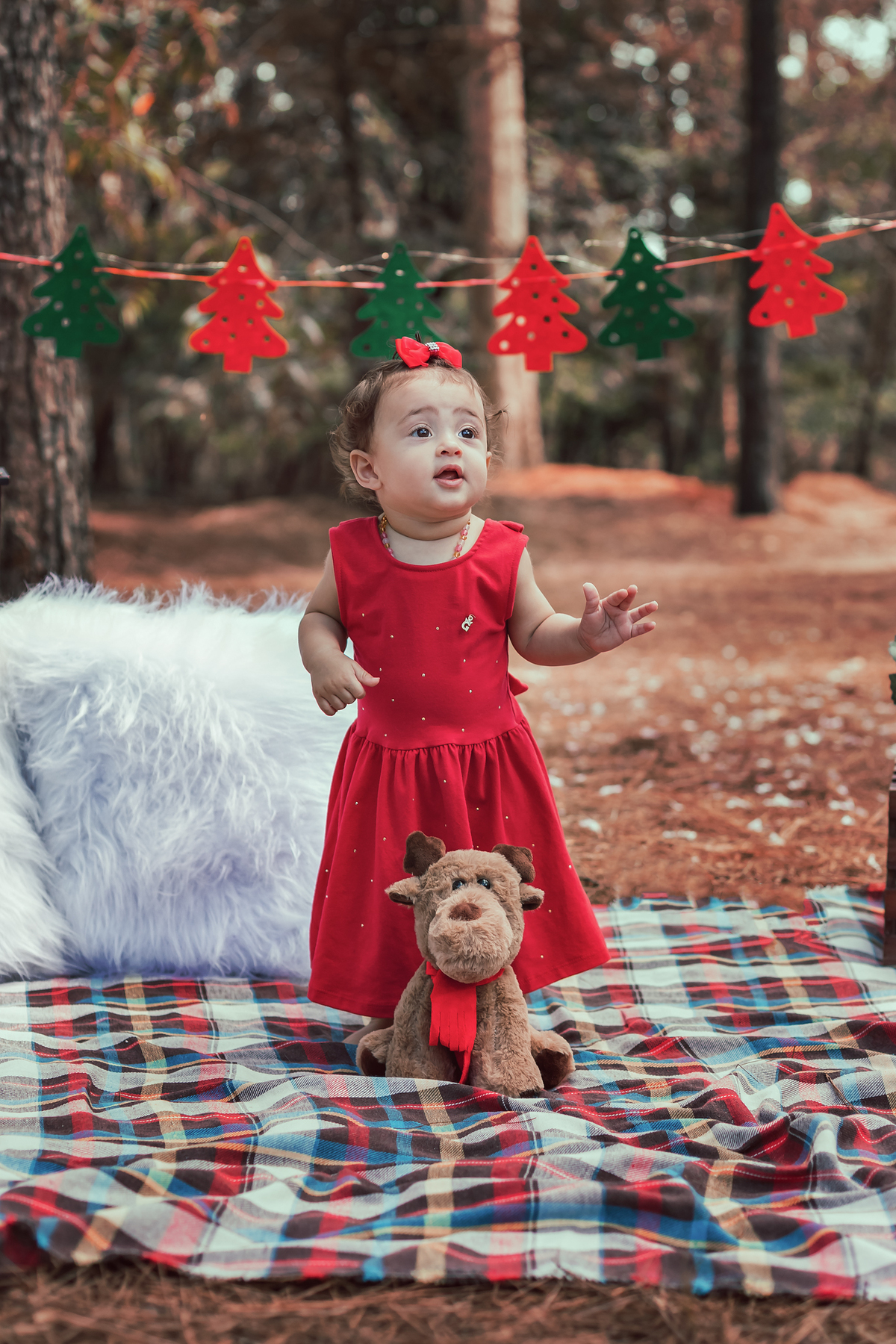 ensaio de natal bauru