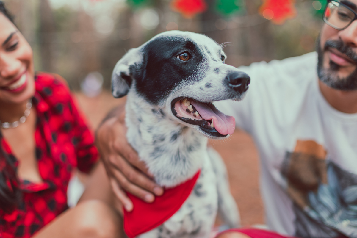 ensaio de natal bauru