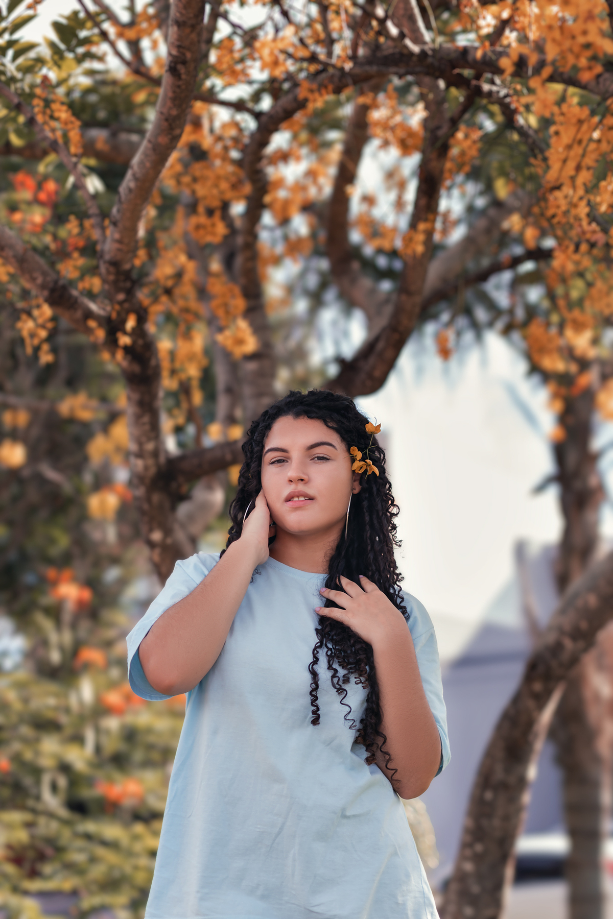 ensaio debutante bauru