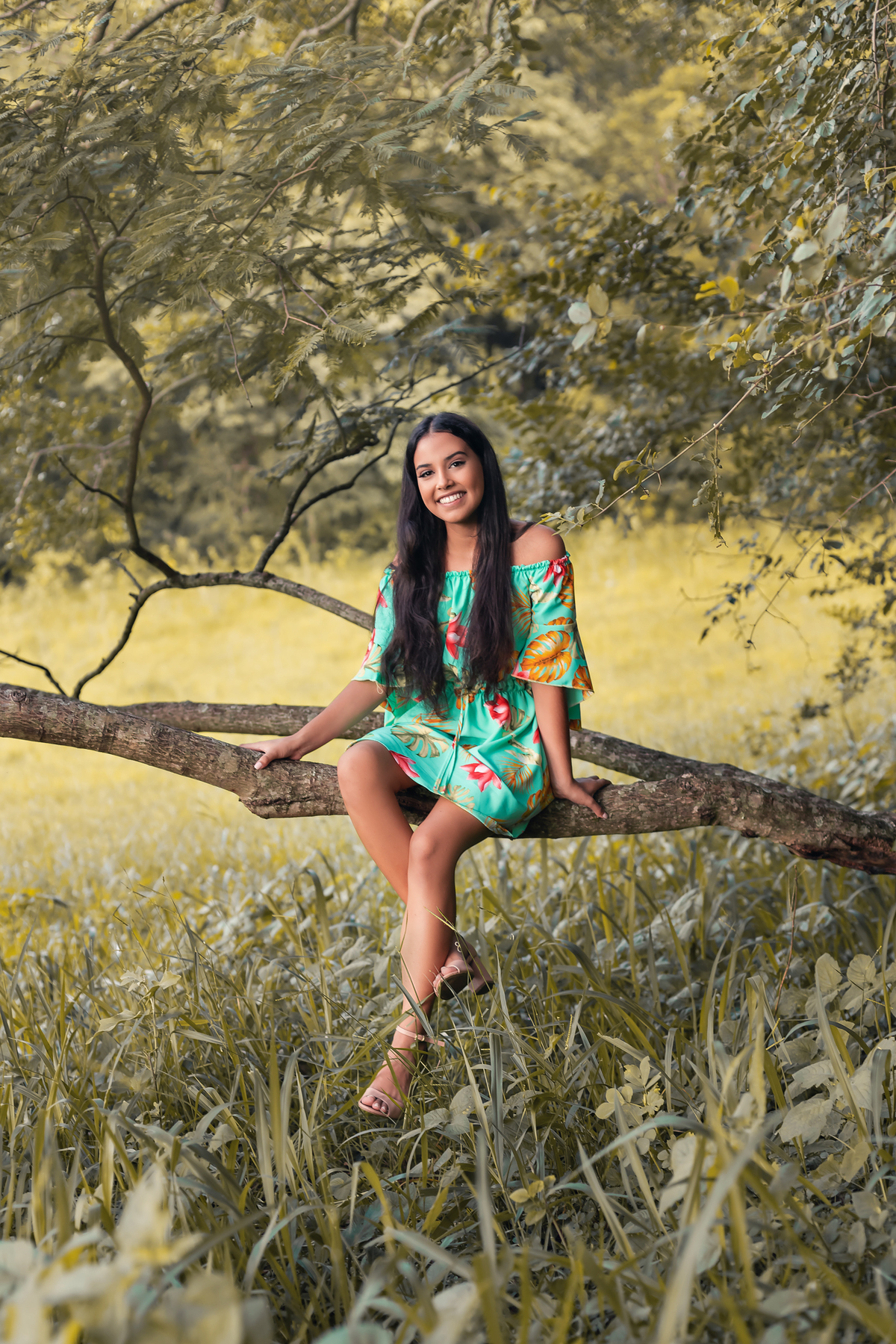 Ensaio debutante bauru