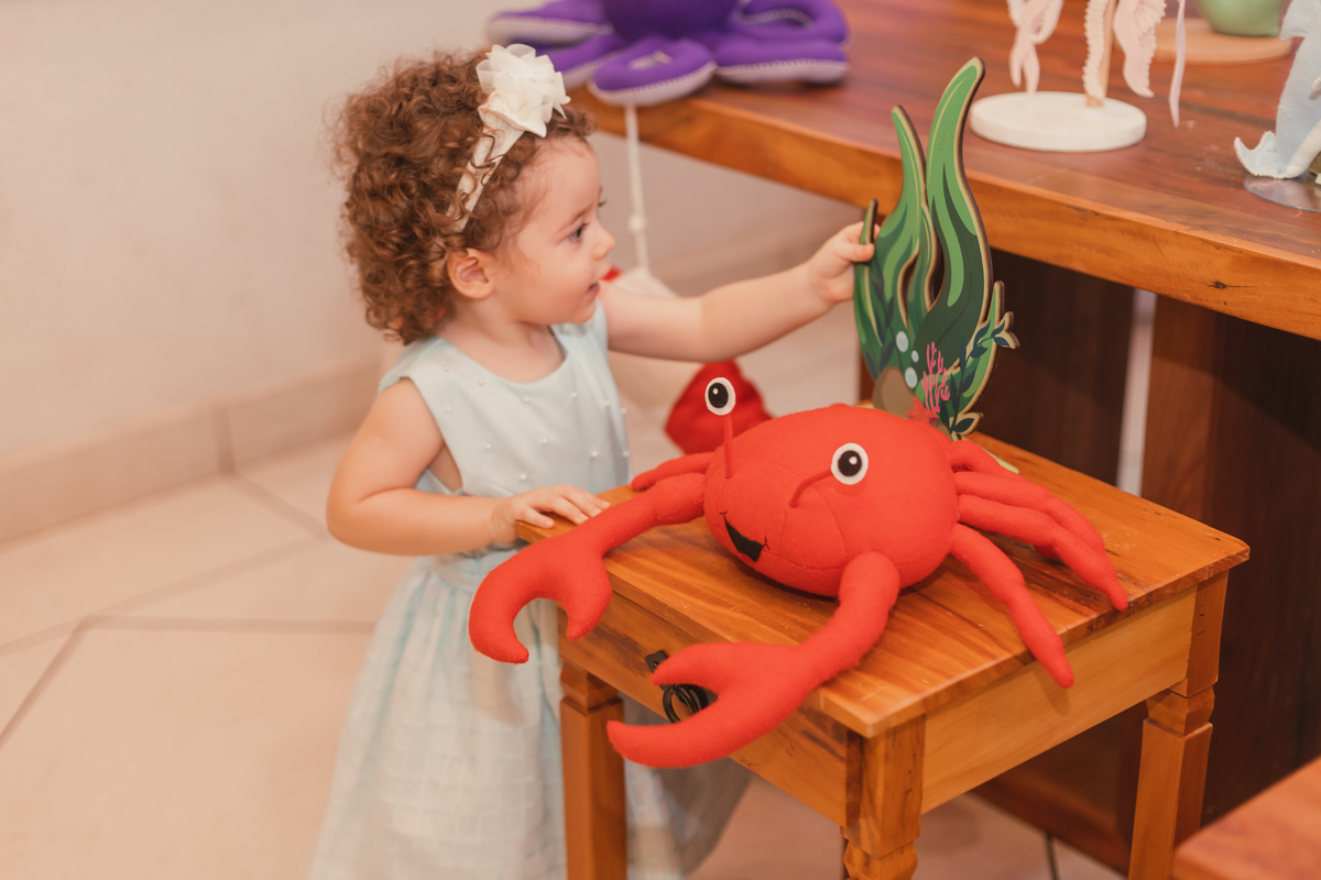 festa infantil - buffet lopping