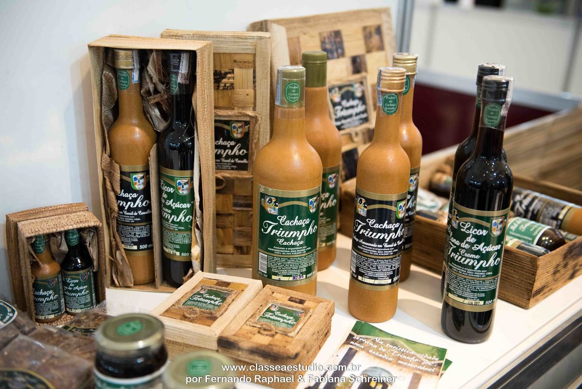 modelos e recepcionistas de recife