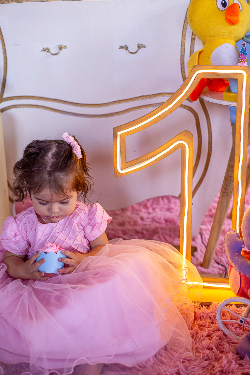 Aniversário infantil em Uberaba