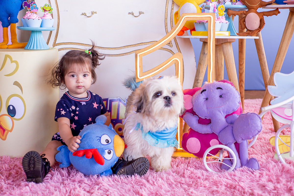 Aniversário infantil em Uberaba
