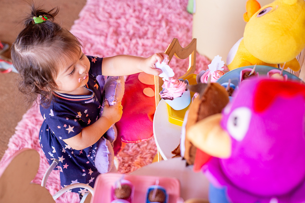 Aniversário infantil em Uberaba