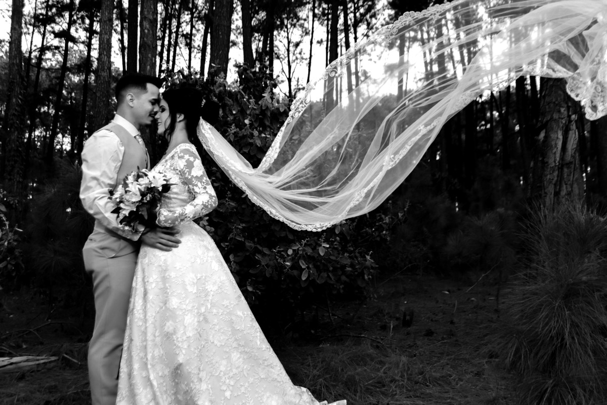 Casamento na Floresta do Lobo em Uberlândia - MG