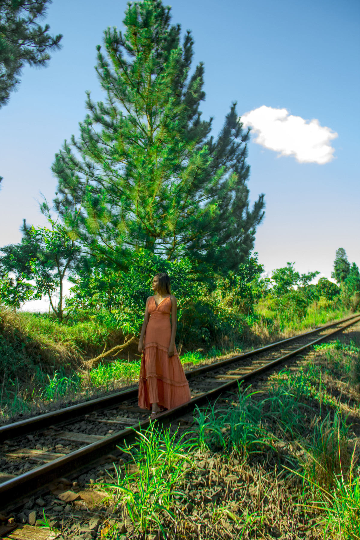 Ensaio feminino na Floresta do Lobo em Uberlândia - MG