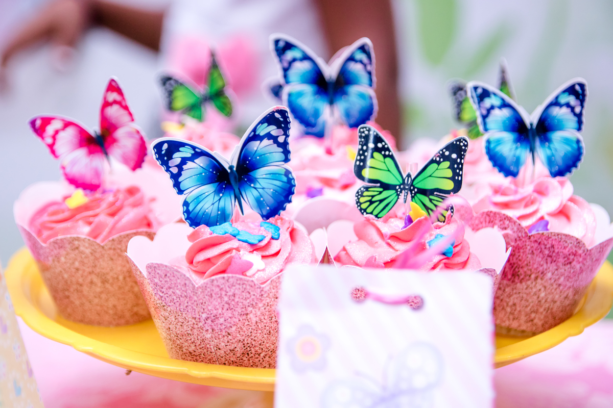 Fótógrafo Festa Infantil em Cuiabá Rosangela  Monteiro 