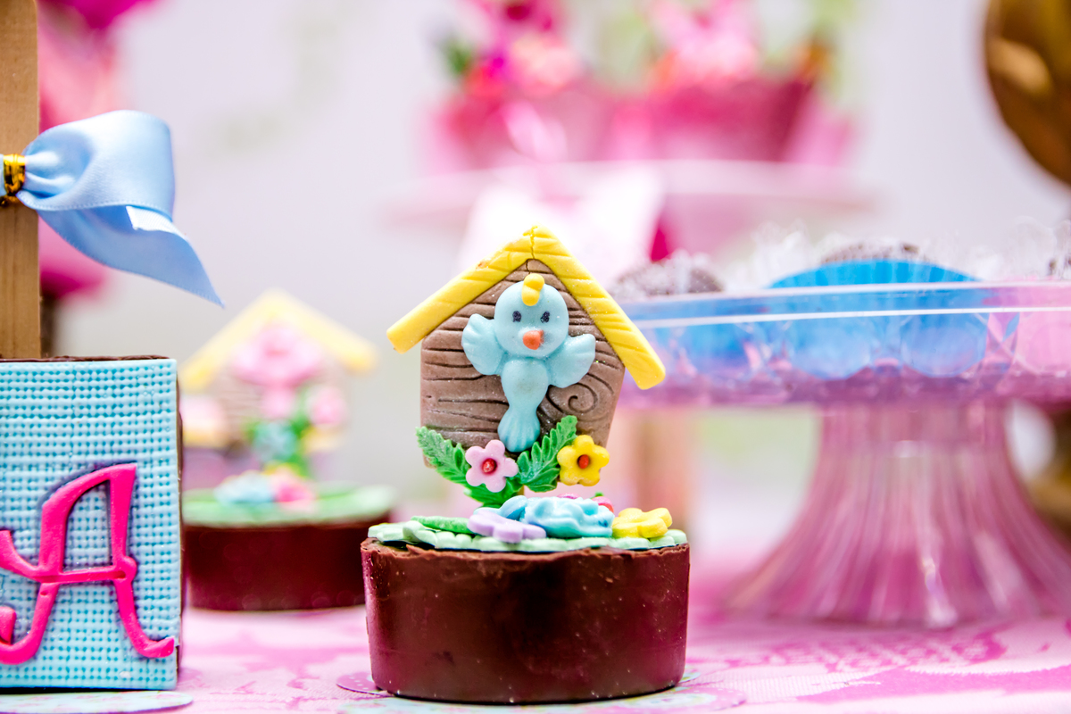 Festa Infantil em Cuiabá Rosangela  Monteiro 