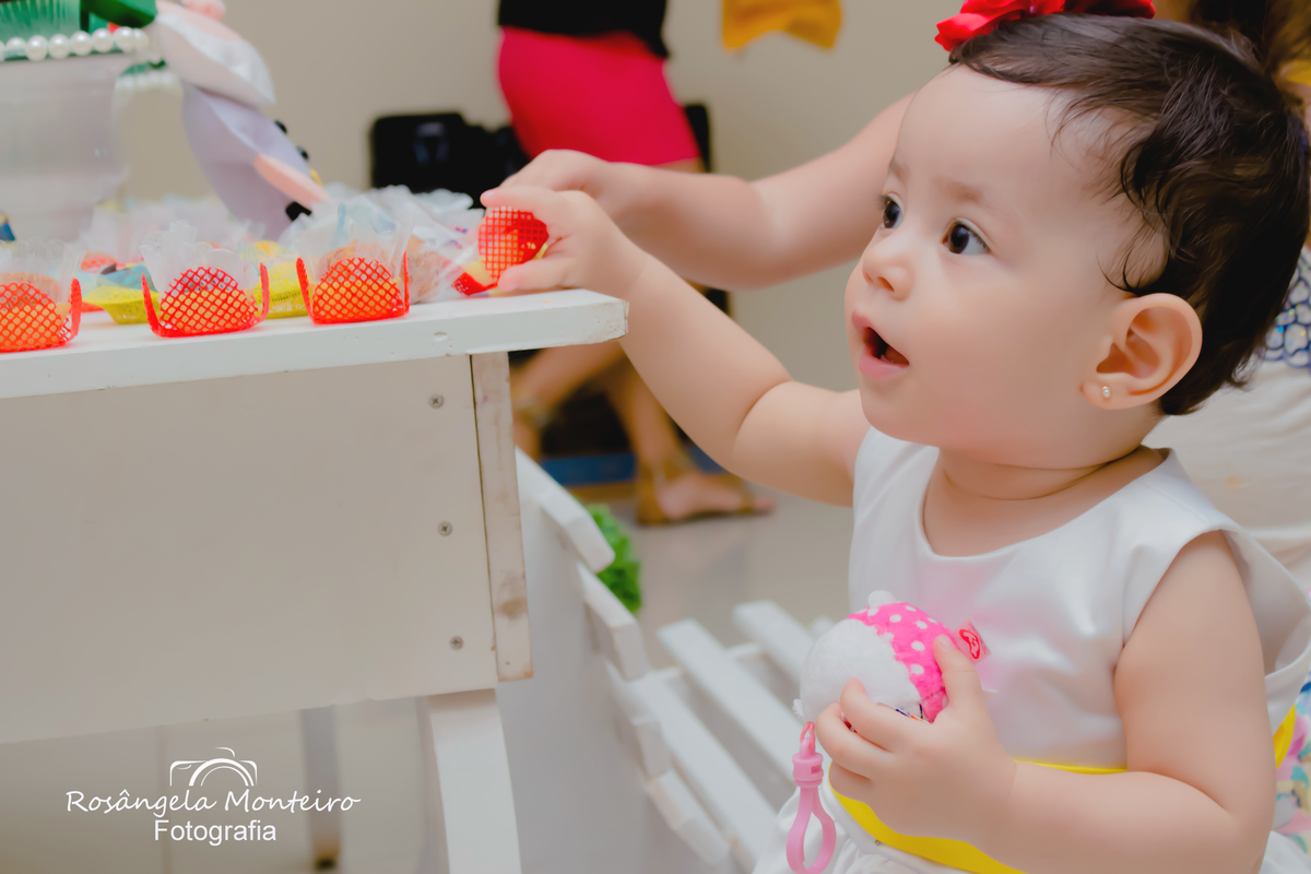 Cobertura fotográfica para festa infantil em Cuiabá  Rosangela  Monteiro Fotografia 