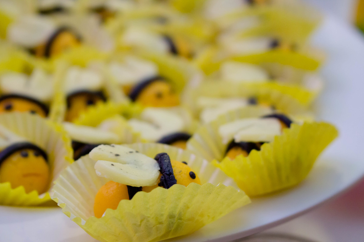 Festa Infantil  em  Várzea Grande Rosangela  Monteiro 