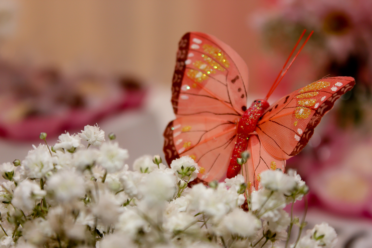 Festa Infantil  em  Várzea Grande Rosangela  Monteiro 