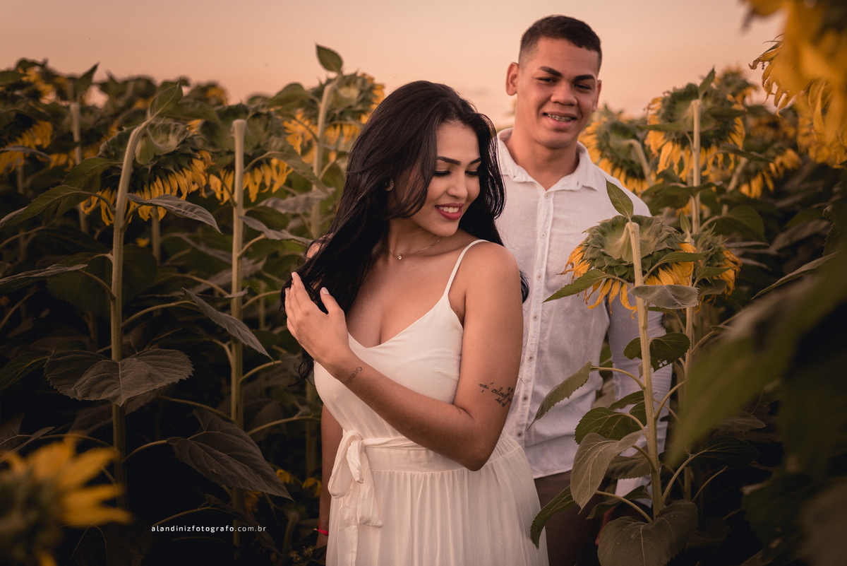 um caminhar delicado, um clima de amor entre eles são perfeitos - ensaio no girassol