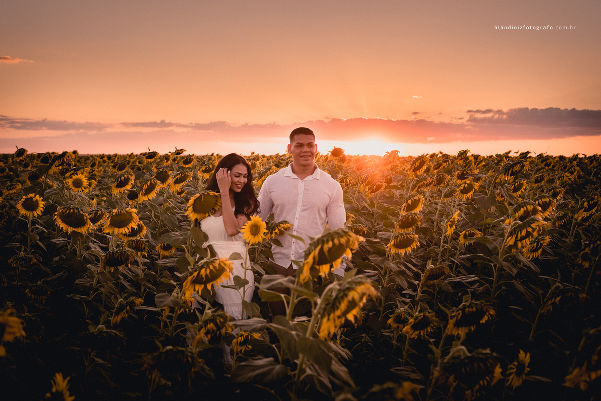pré-wedding no girassol