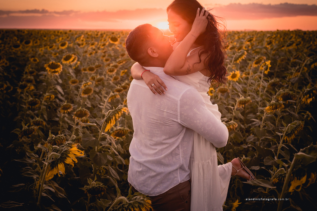 olha essa luz? magnífico - ensaio no girassol