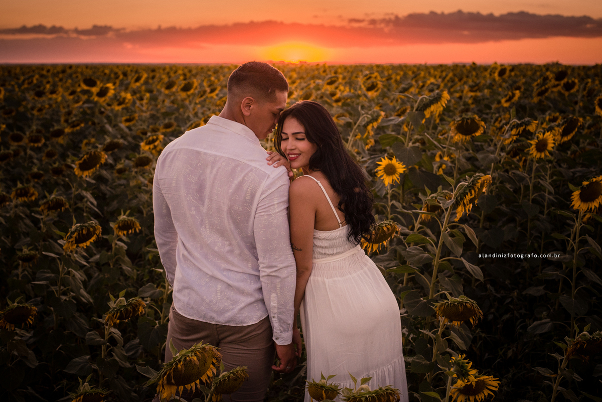 pré-wedding no girassol