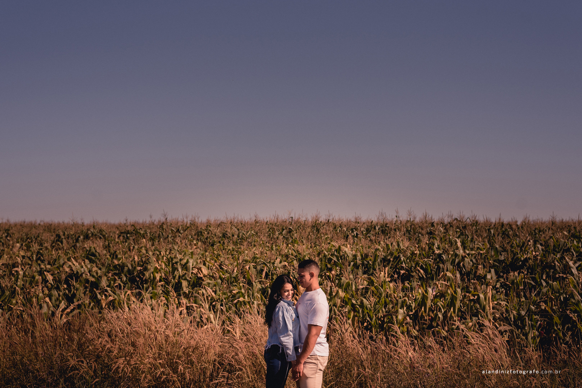 na estrada em frente ao milharal