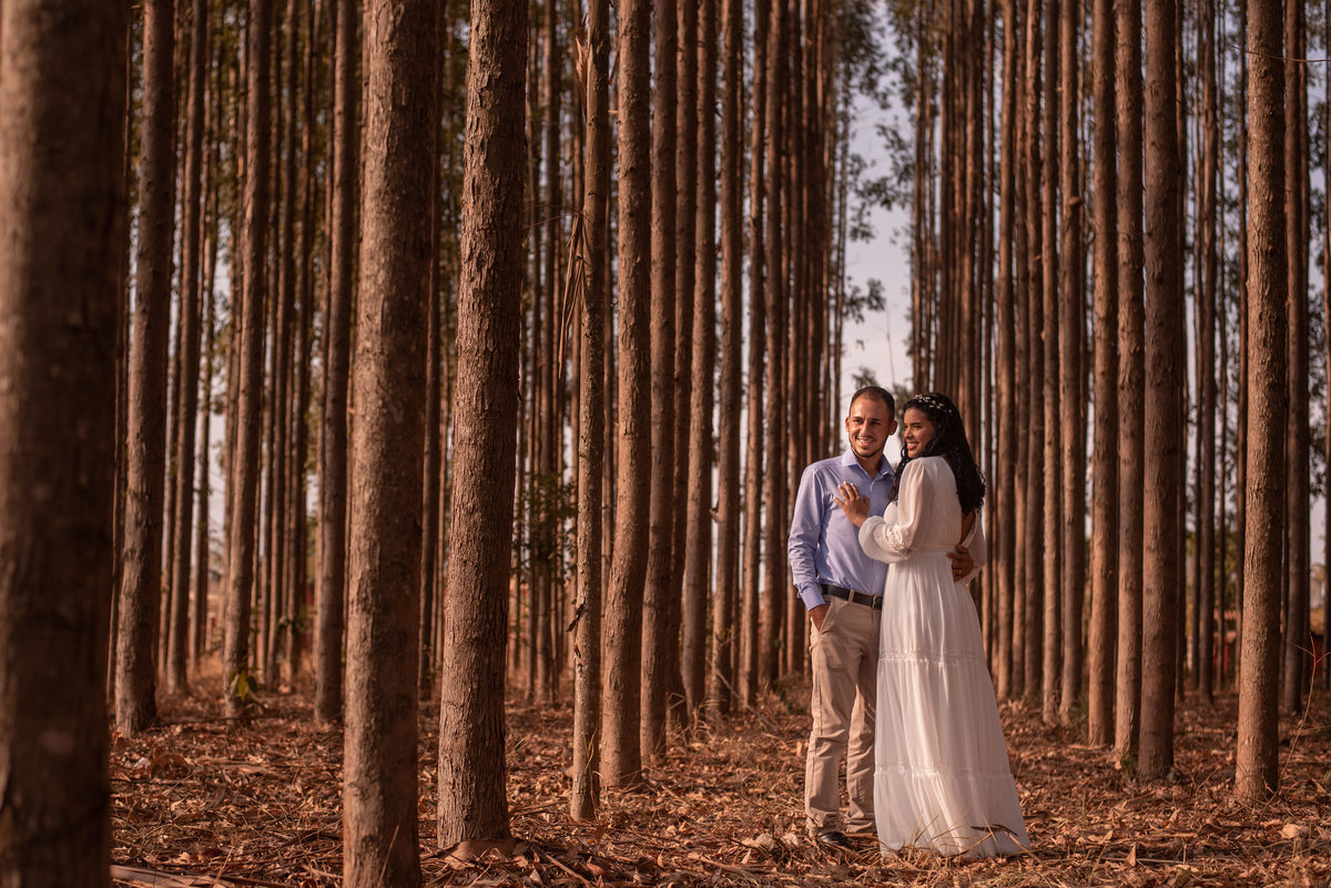 Eucaliptos, sempre foi uma das composições perfeitas que agradam os olhares da fotografia.