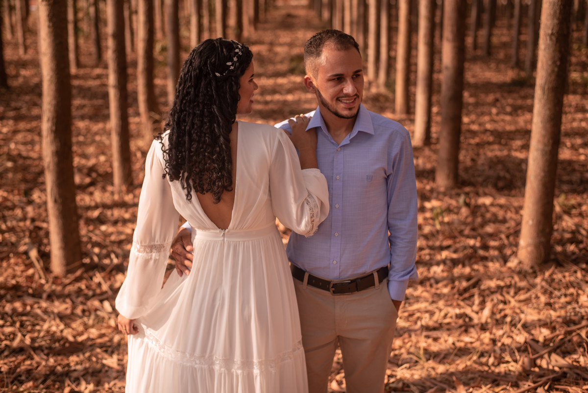 Eucaliptos, sempre foi uma das composições perfeitas que agradam os olhares da fotografia.