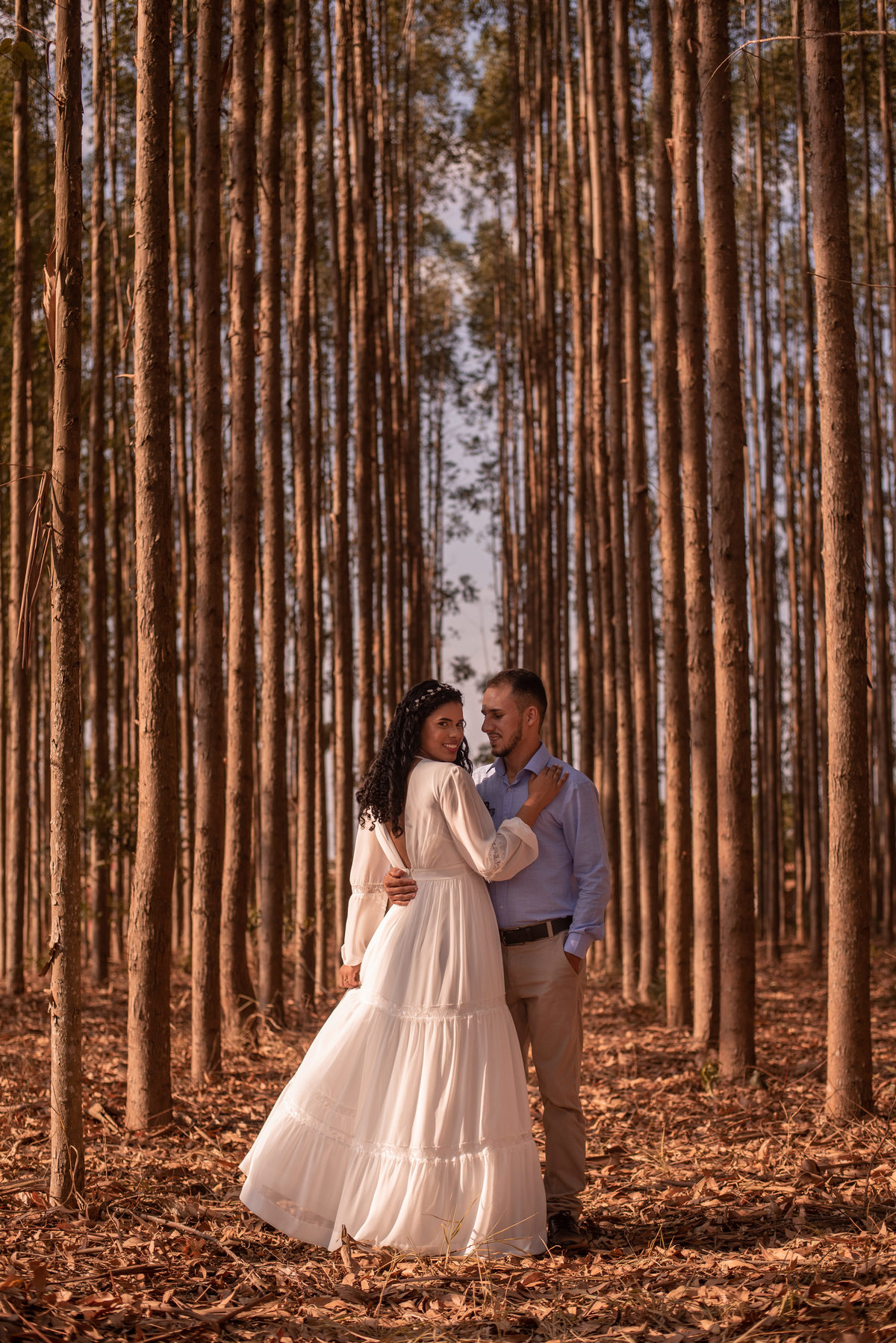 Eucaliptos, sempre foi uma das composições perfeitas que agradam os olhares da fotografia.