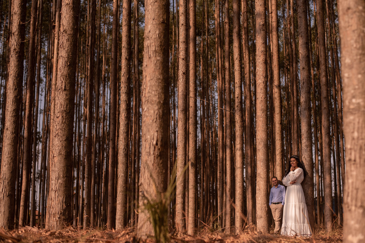 Olha as composições no Eucaliptos, da para brincar muito com eles...