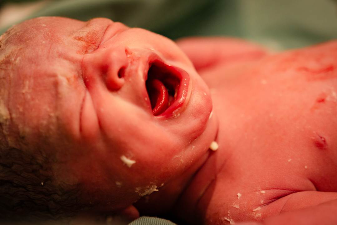 fotografia de parto em maceió no hospital arthur ramos gabi coelho