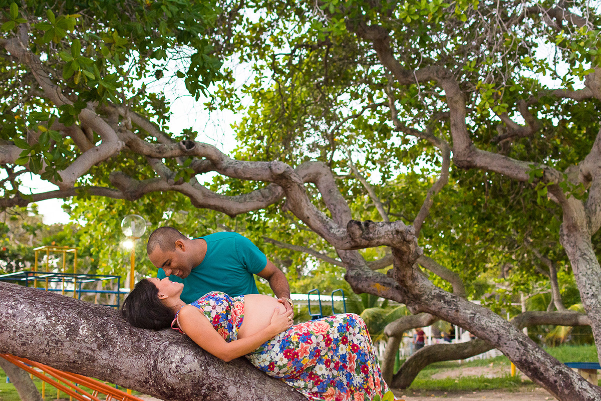 gestante verde arvores plantas ensaio