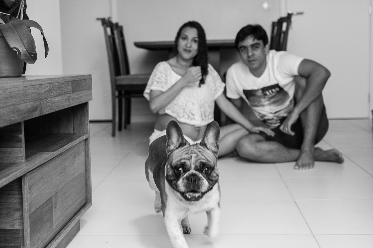 cachorro correndo foto de familia em casa
