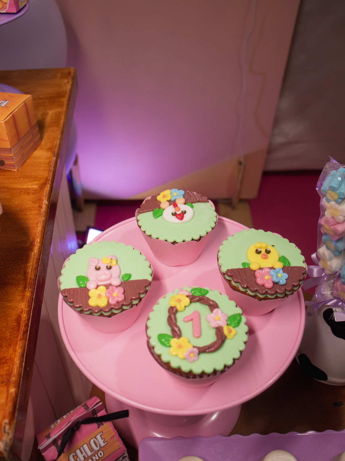 Fotografia de aniversário infantil na ilha de itaparica 