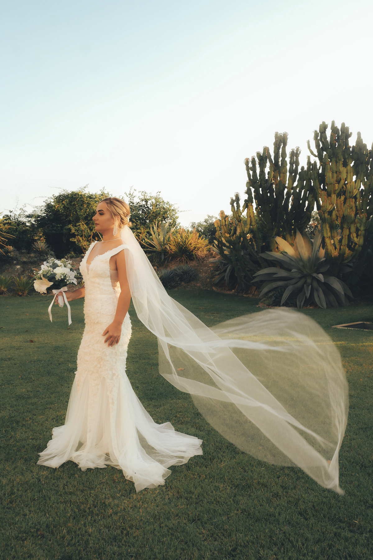 Vestido, buque, véu da noiva