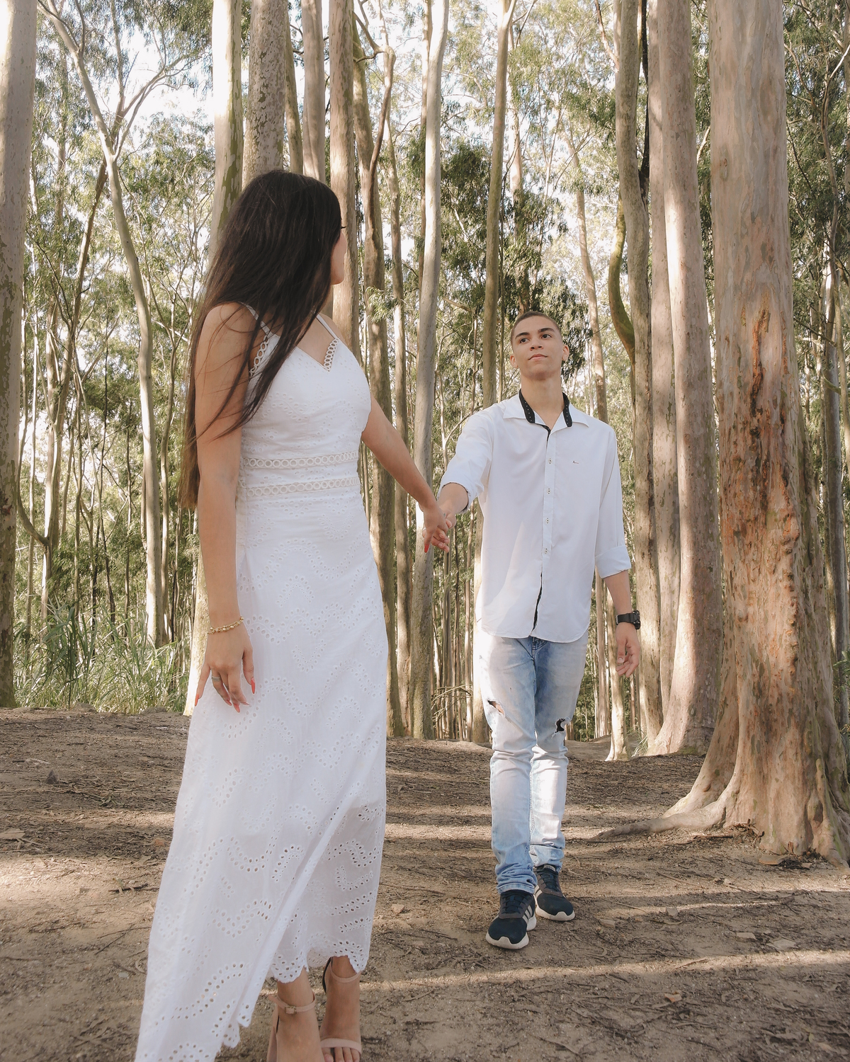 mãos dadas no bosque dos eucaliptos